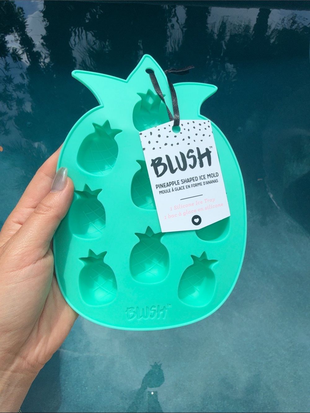 Blush Pineapple Silicone Ice Mold Teal Green BNWT